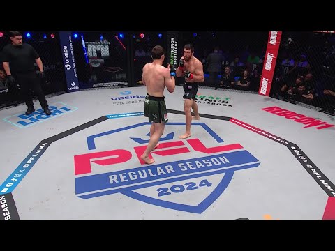 Shamil Musaev has a left hook like a freight train 🫨 #MMA #PFL #Shorts