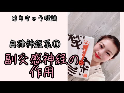 【はりきゅう理論】副交感神経の作用は痴漢で覚える！？【Biancaなざと】