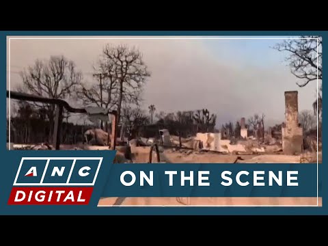 LA officials vow aggressive rebuilding of homes, properties after devastating wildfires | ANC