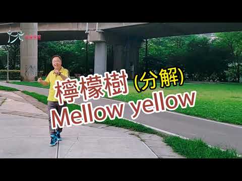 【元宏排舞教室】分解-23-4 檸檬樹 排舞 / Mellow yellow line dance