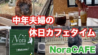 【福井県坂井市カフェ】ミニ動物園があるカフェ　Nora CAFE【方言：ハイブリッド福井弁】