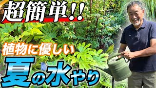 【あなたは大丈夫？】夏に植物が枯れない水やりの方法をプロが解説！【お庭】【外構】【ガーデニング】