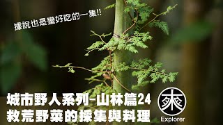 Taiwanese wild vegetable collection and cooking