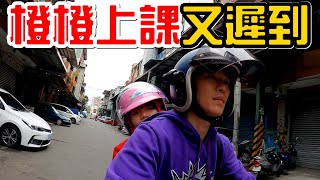 橙橙上課又遲到。Ft.tutorJr