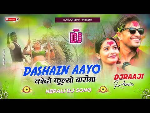 🎧 Nepali Dj || Dashain Aayo || Kodo Fulyo Barima Nepali Dj || Nepali Dj Song 2081 || DjRaaji Remix