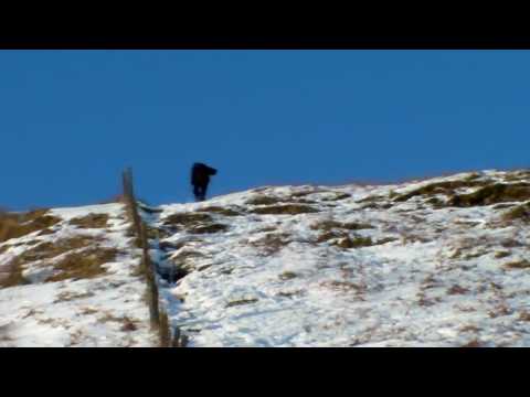 Climbing Hillside Hill 10th Jan 2010