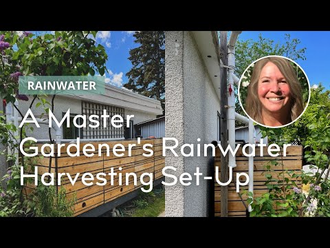 Rainwater Harvesting and Management on Your Urban Property