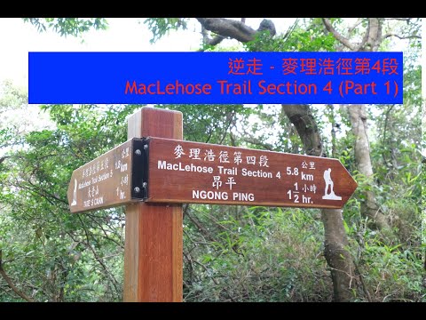 逆走 - 麥理浩徑第4段 | MacLehose Trail Section 4 (Part 1)