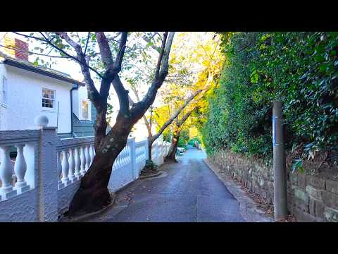 Walking through the residential area on the hills of Kamakura with beautiful sea views【4K Japan】