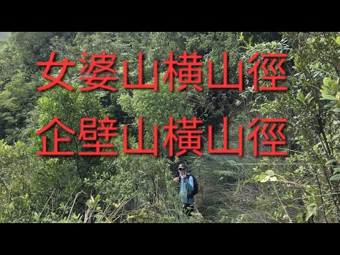 10月14日 星期一：富安亞公花園 女婆山横山徑 梅子林 茅坪滕王 企壁山橫山徑 西貢公路大涌口村