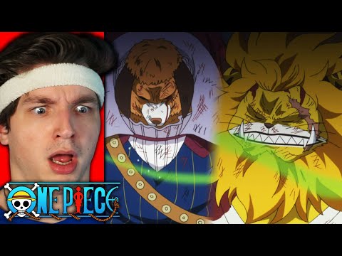 ZOU IS DESTROYED... (one piece reaction)