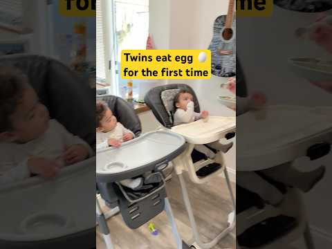 Twins eat egg for the first time  #baby #twins ￼