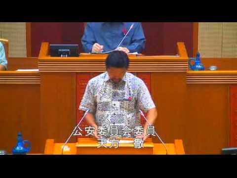 狩俣信子（社民・社大・結連合）の質疑　10/4沖縄県議会