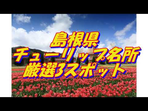 31【島根県】チューリップの名所＜3選＞