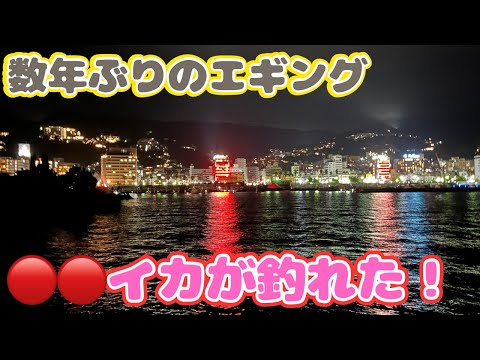 釣友の夫婦と真夜中の港でエギング大会‼️ダイソー餌木で見事イカ🦑をゲットした❗️🎉