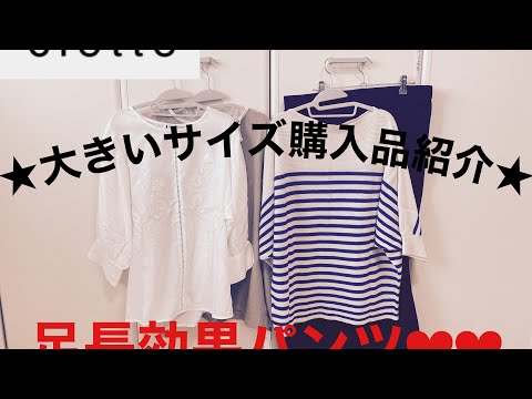 【clette】大きいサイズ購入品紹介💕