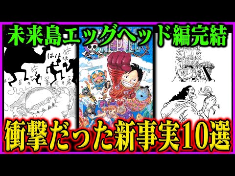 【ワンピース】エッグヘッド編で衝撃だった新事実BEST10！【くまの過去／ベガパンク／ジョイボーイ他】