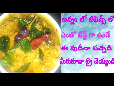 Mint Chutney| పుదీనా తో ఒక్కసారి ఇలా పచ్చడి చేసి చూడండి అన్నం లో టిఫిన్స్ లో చాలా బావుంటుంది