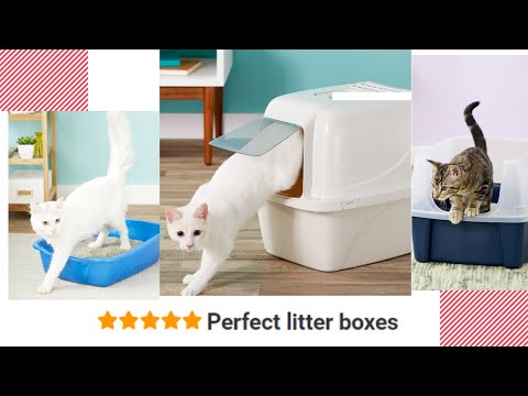 Top 7 Best Cat Litter Boxes - Customer Reviews