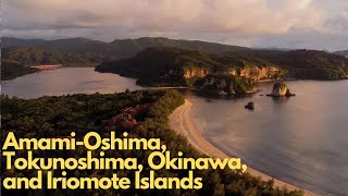 Discover the Hidden Gems of Japan: Amami-Oshima, Tokunoshima, Okinawa, and Iriomote Islands