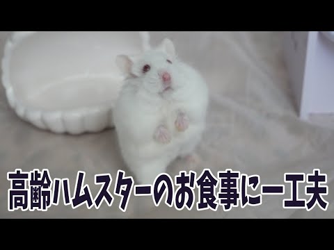 高齢ハムちゃんのペレット潰しに便利なアイテム！コーヒーミル