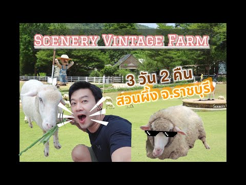 Scenery Vintage Farm 3 วัน 2 คืน สัมผัสธรรมชาติใกล้กรุงเทพ บอกเลยฟินสุดๆ