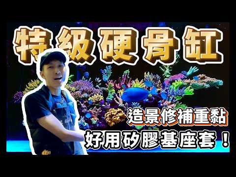 【藍箱水族】造景斷裂！整缸重黏！超好用矽膠基座套！