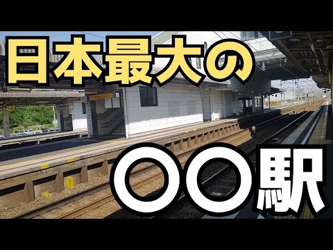 【日本最大】ちょっと意外な日本最大の〇〇駅に行ってみた