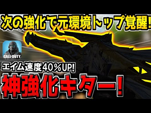 次の大幅強化で環境入りなるか！？元環境トップ武器がエイム速度40％UPの超強化を貰う件についてｗ【CODモバイル】