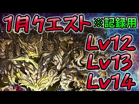 【1月のクエストダンジョン】Lv12 13 14 アグリゲート 編成❗️（解説なし） #パズドラ #クエスト