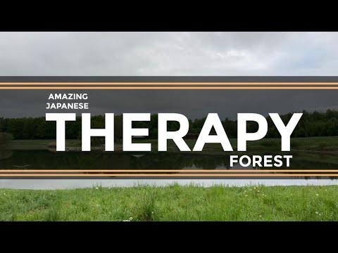 WOW! 'Japanese Therapy forests' can do wonders.