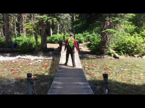 The Bridge to Grinnell Lake - Glacier National Park