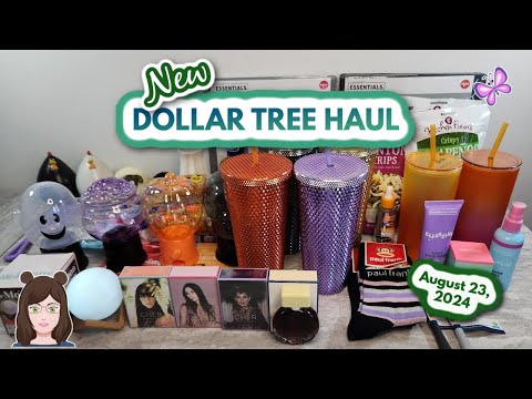 AMAZING DOLLAR TREE HAUL! Awesome New Finds!! Everything was $1.25! August 23, 2024