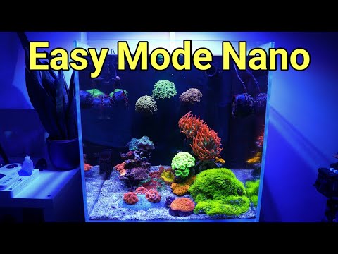 Nano Tank Maintenance Rundown (Cade Nano at 16 Months)