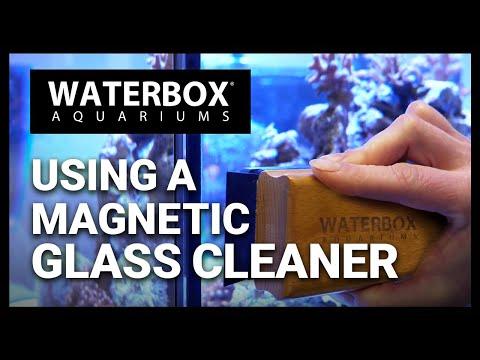 How to use and maintain the Waterbox Aquariums® Magnetic Aquarium Glass Cleaners