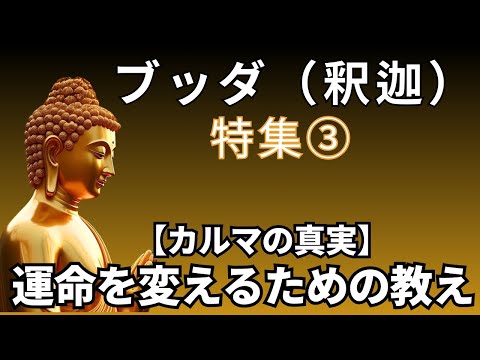 📚 【釈迦の教え】「カルマ（業）」の真実とは？ 仏教の核心を解説 🎥