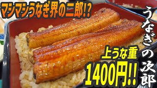 マシマシ！上うな重が1400円で楽しめる！うなぎ界の二郎!?【昼めしジプシー】松戸・うなぎの次郎