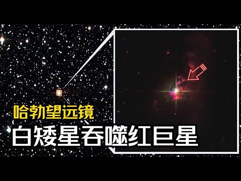 哈勃的拍摄：3400光年外，白矮星吞噬红巨星的画面