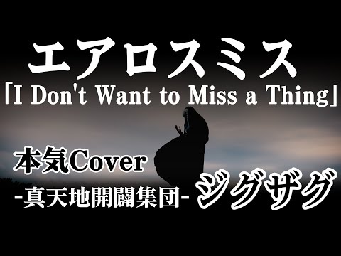 エアロスミス - I Don't Want to Miss a Thing (Cover by −真天地開闢集団−ジグザグ)