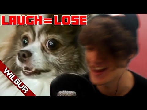 If I Laugh I Get A Noise Complaint (YLYL)