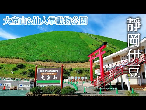 Japan Shizuoka Mt. Omuro｜Izu Saboten Zoo｜Original Capybara Outdoor Bath