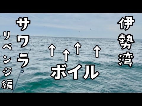 伊勢湾サワラキャスティングの楽しみ方