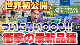 【必見！！】世界初公開の衝撃の最新品種が続々登場！ 一般公開していない巨大園芸イベント「フラワートライアルジャパン」に公式初潜入　 【H&Lプランテーション・M&B フローラ・ハクサングループ会場】