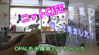 ニットカフェ來來さんへ行ってきました！OPAL毛糸買いました！