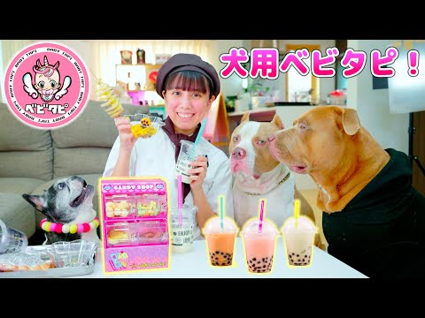 ベビタピを犬用で再現！タピオカにモンブランにポテトも！ロッキーたちの反応は？ベビタッピ！【ベビタピ】