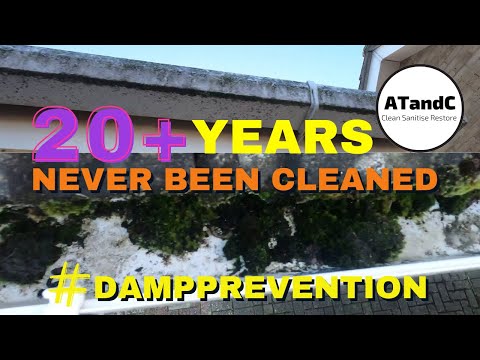 Gutter cleaning & brightening #dampprevention #gutterwhitening