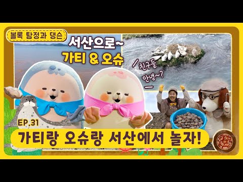 볼록 탐정과 댕슨ㅣEp.31ㅣ가티랑 오슈랑 서산에서 놀자!ㅣ딩동댕유치원