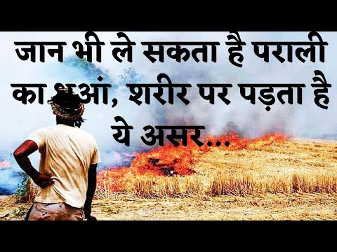 दिल्‍ली-एनसीआर ही क्‍यों आता है पंजाब-हरियाणा की पराली का धुंआ? #prali #punjab #hariyana