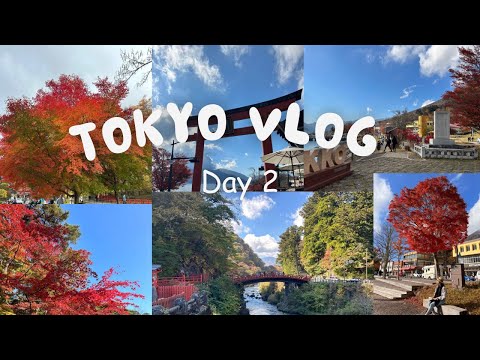 Tokyo Vlog Day 2 🇯🇵 | 1-day tour in Nikko 日光 | Momiji 紅葉🍁 | Shinjuku 新宿 | 高橋拉面 新宿本店