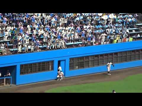 桐蔭学園高校（神奈川）の応援【2024夏】